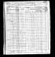 1870-SC Census, Tillers Ferry, Buffalo Township, Kershaw Co, SC
