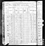 1880-KY Census, Spottsville, District 8, Henderson Co, KY