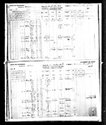 1881-Canada Census, Bowmanville, Durham West District, Ontario, Canada