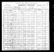 1900-MI Census, Dowagiac City, District 87, Cass Co, MI