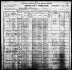 1900-NC Census, Kinston, Kinston Township, Lenoir Co, NC