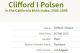 Clifford Irving Polsen - Birth Information