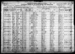 1920-AR Census, District 53, Cominto Township, Drew Co, AR